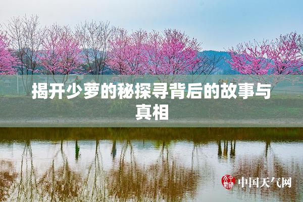 揭开少萝的秘探寻背后的故事与真相