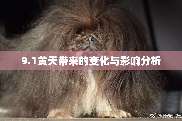 9.1黄天带来的变化与影响分析