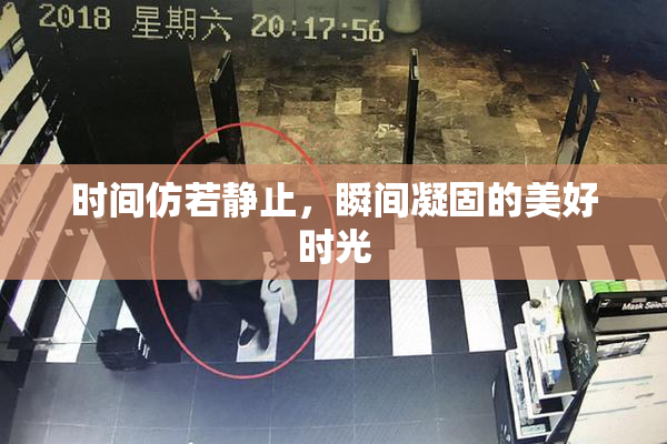 时间仿若静止，瞬间凝固的美好时光