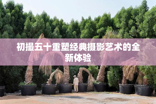 初撮五十重塑经典摄影艺术的全新体验
