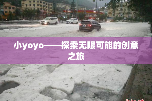 小yoyo——探索无限可能的创意之旅