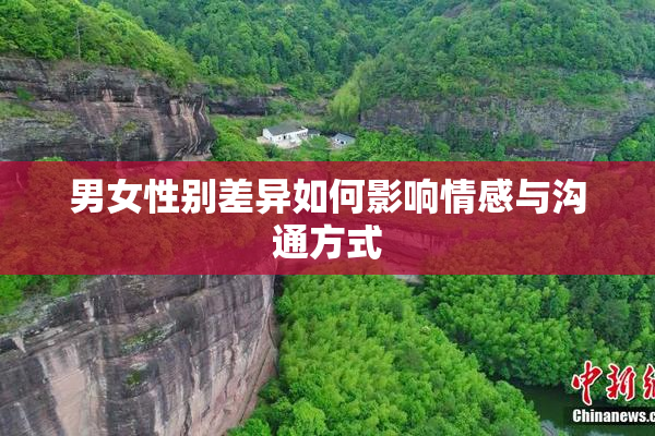 男女性别差异如何影响情感与沟通方式
