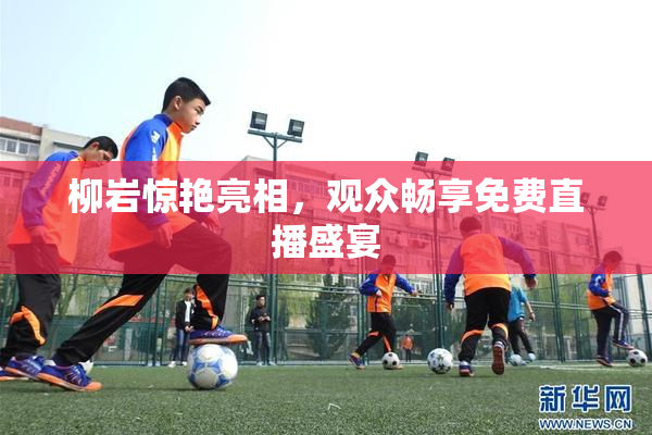 柳岩惊艳亮相，观众畅享免费直播盛宴