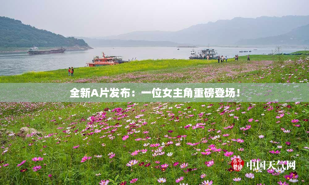 全新A片发布：一位女主角重磅登场！