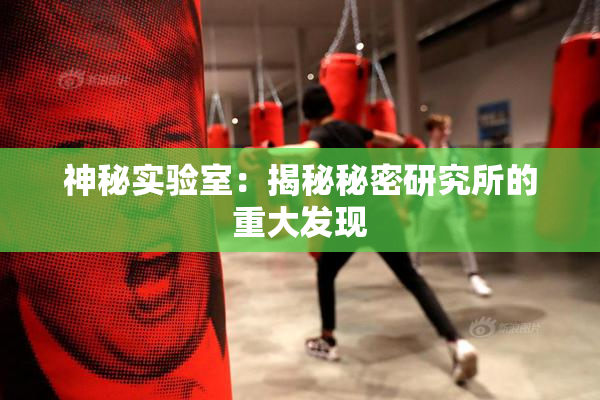 神秘实验室：揭秘秘密研究所的重大发现