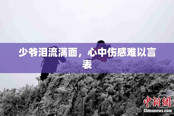 少爷泪流满面，心中伤感难以言表