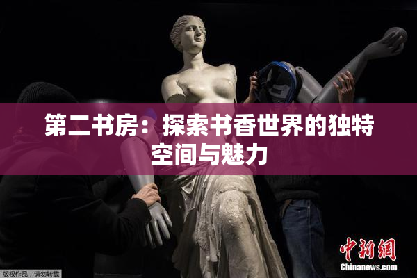 第二书房：探索书香世界的独特空间与魅力