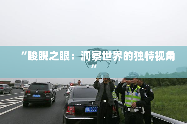 “睃睨之眼：洞察世界的独特视角”