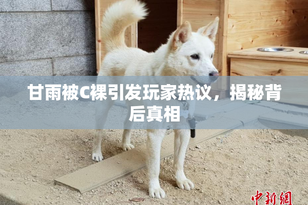甘雨被C裸引发玩家热议，揭秘背后真相