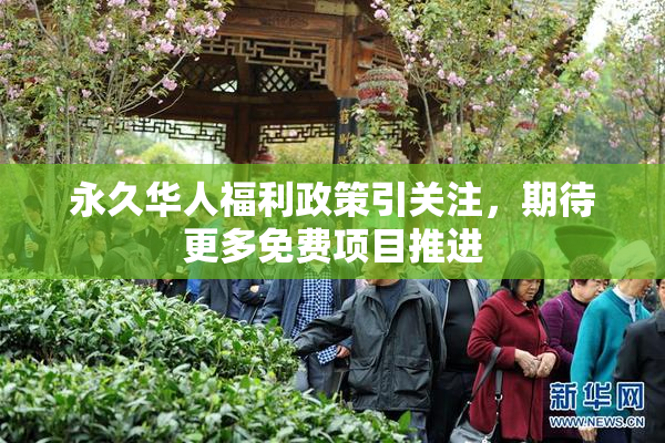 永久华人福利政策引关注，期待更多免费项目推进
