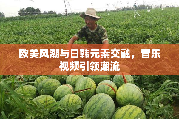 欧美风潮与日韩元素交融，音乐视频引领潮流