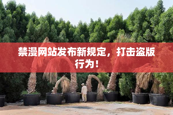 禁漫网站发布新规定，打击盗版行为！
