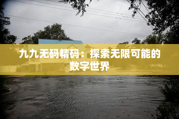 九九无码精码：探索无限可能的数字世界