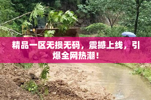 精品一区无损无码，震撼上线，引爆全网热潮！