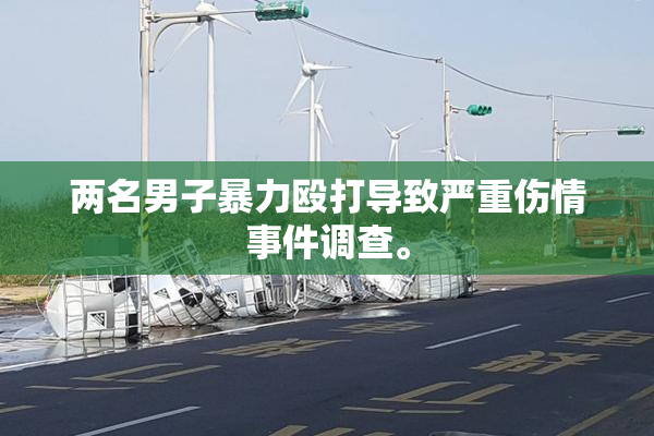 两名男子暴力殴打导致严重伤情事件调查。