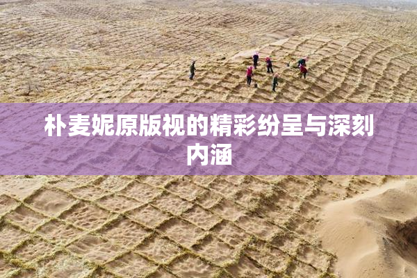 朴麦妮原版视的精彩纷呈与深刻内涵