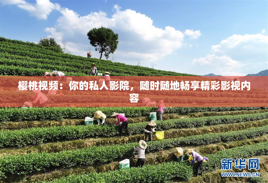 樱桃视频：你的私人影院，随时随地畅享精彩影视内容