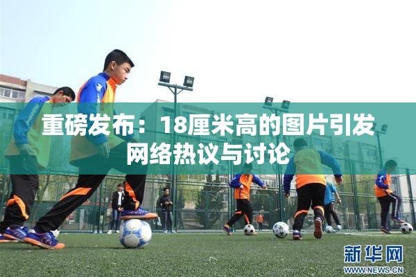 重磅发布：18厘米高的图片引发网络热议与讨论