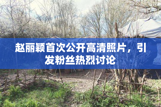 赵丽颖首次公开高清照片，引发粉丝热烈讨论