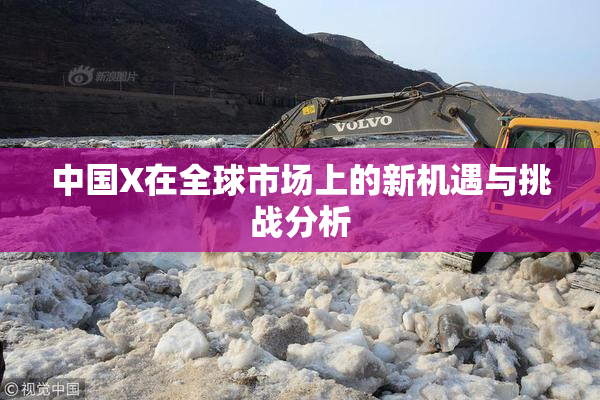 中国X在全球市场上的新机遇与挑战分析
