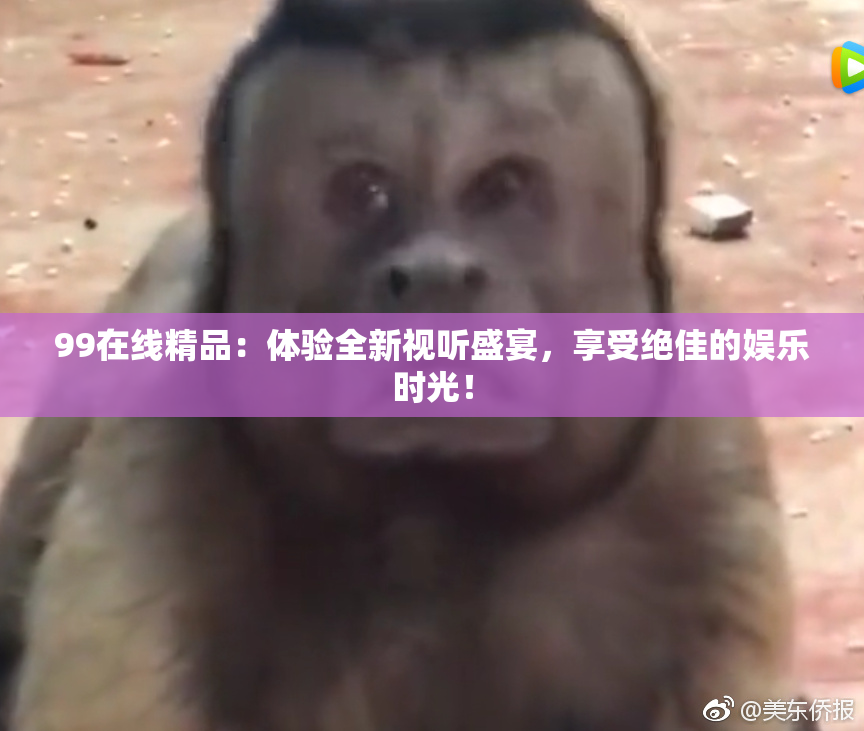99在线精品：体验全新视听盛宴，享受绝佳的娱乐时光！