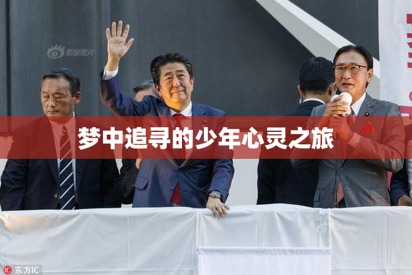 梦中追寻的少年心灵之旅