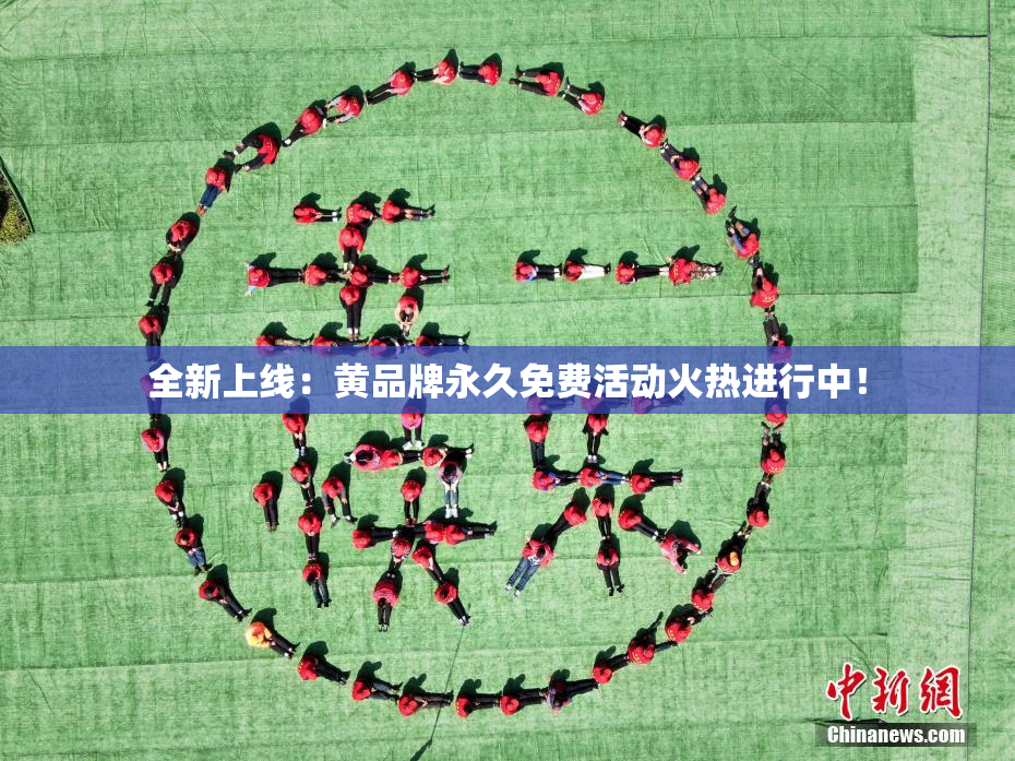 全新上线：黄品牌永久免费活动火热进行中！