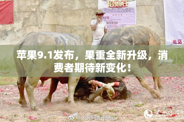 苹果9.1发布，果重全新升级，消费者期待新变化！