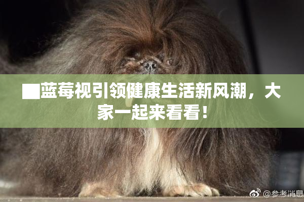 ▇蓝莓视引领健康生活新风潮，大家一起来看看！