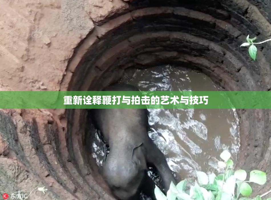 重新诠释鞭打与拍击的艺术与技巧
