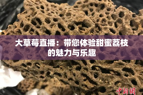 大草莓直播：带您体验甜蜜荔枝的魅力与乐趣