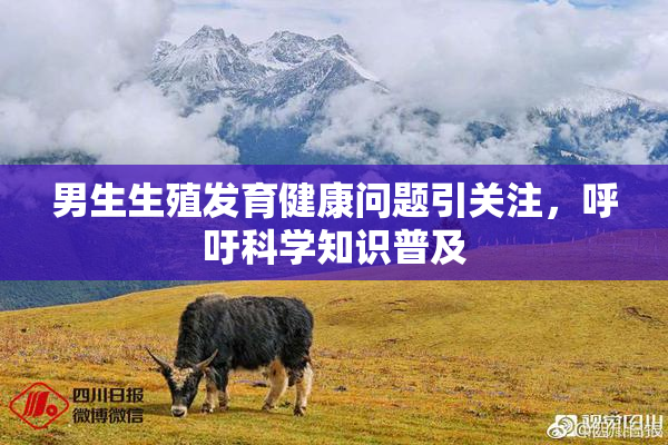 男生生殖发育健康问题引关注，呼吁科学知识普及