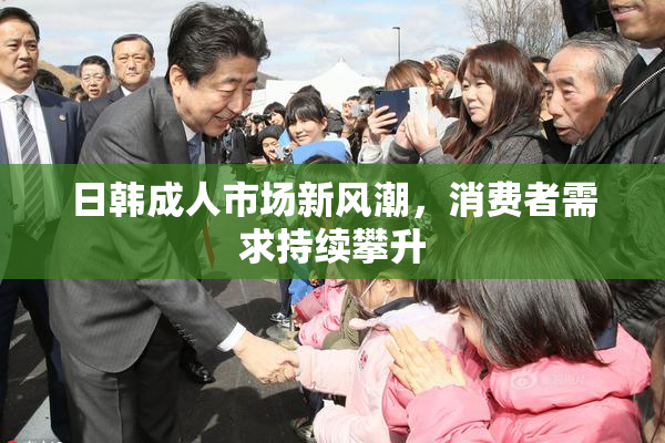 日韩成人市场新风潮，消费者需求持续攀升