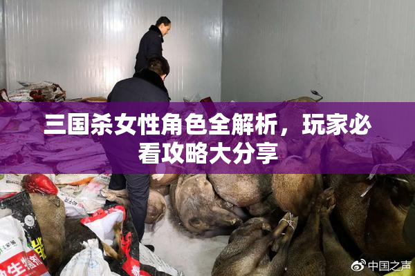 三国杀女性角色全解析，玩家必看攻略大分享