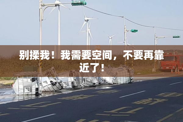 别揉我！我需要空间，不要再靠近了！