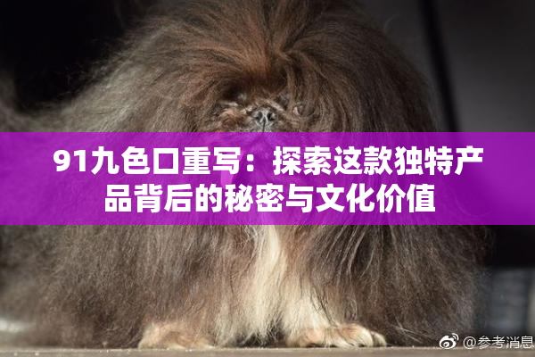 91九色口重写：探索这款独特产品背后的秘密与文化价值