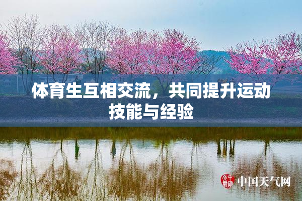 体育生互相交流，共同提升运动技能与经验
