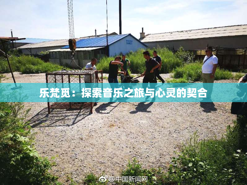 乐梵觅：探索音乐之旅与心灵的契合