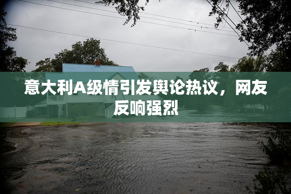 意大利A级情引发舆论热议，网友反响强烈