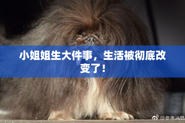 小姐姐生大件事，生活被彻底改变了！