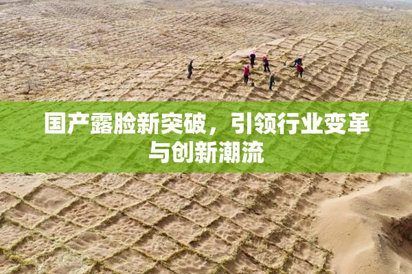 国产露脸新突破，引领行业变革与创新潮流