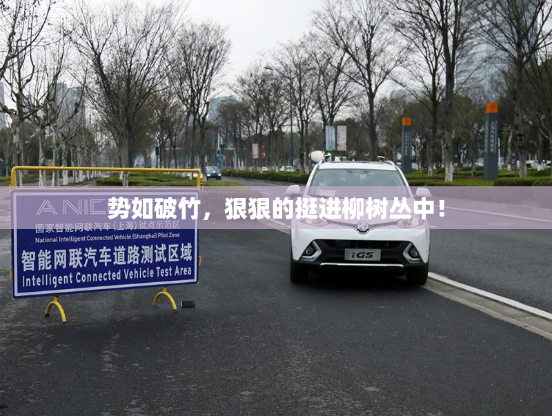 势如破竹，狠狠的挺进柳树丛中！