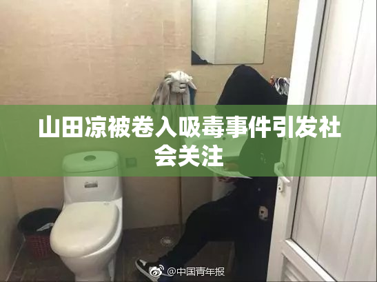 山田凉被卷入吸毒事件引发社会关注