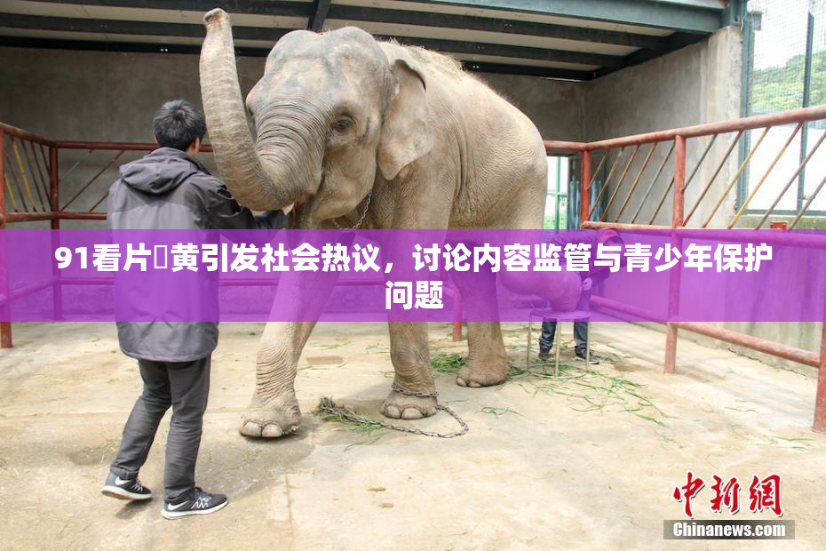 91看片婬黄引发社会热议，讨论内容监管与青少年保护问题
