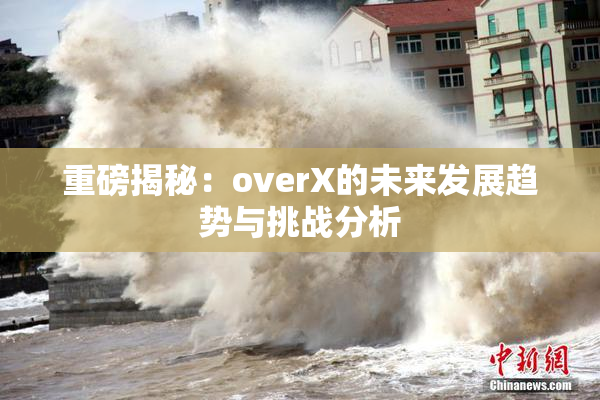 重磅揭秘：overX的未来发展趋势与挑战分析