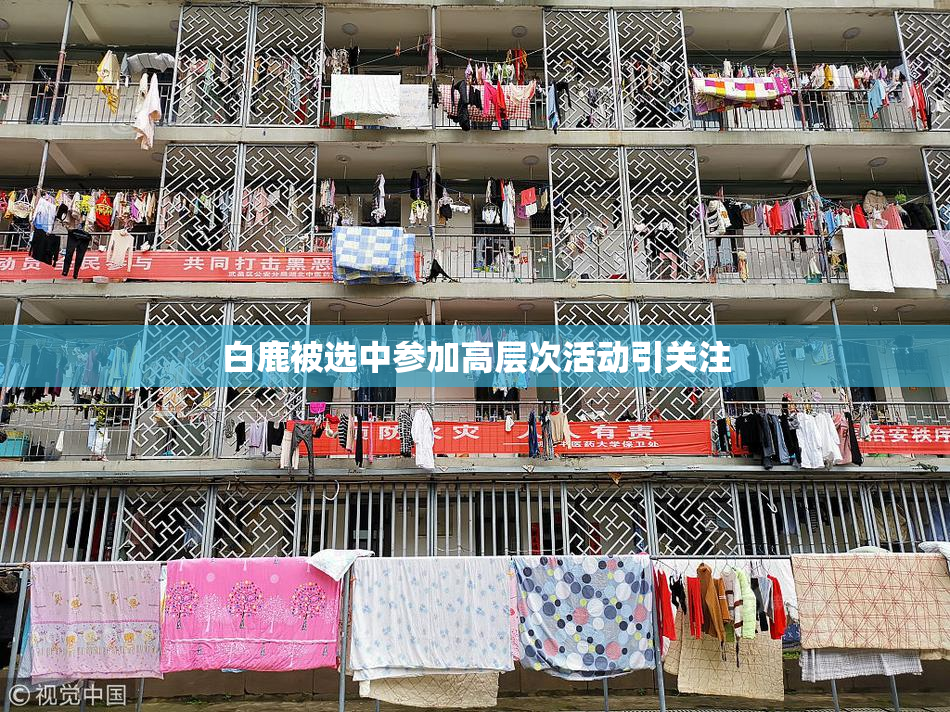 白鹿被选中参加高层次活动引关注