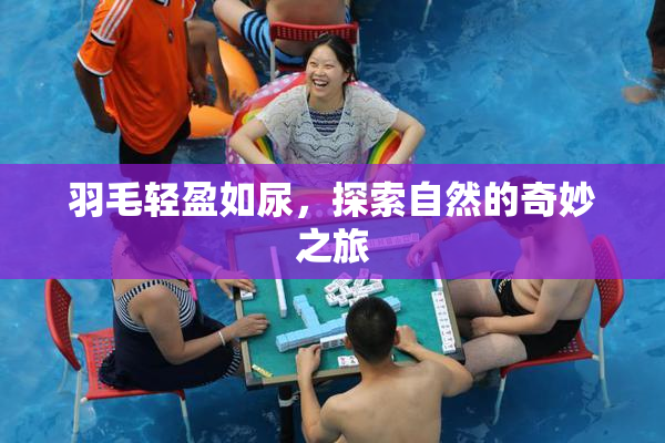 羽毛轻盈如尿，探索自然的奇妙之旅