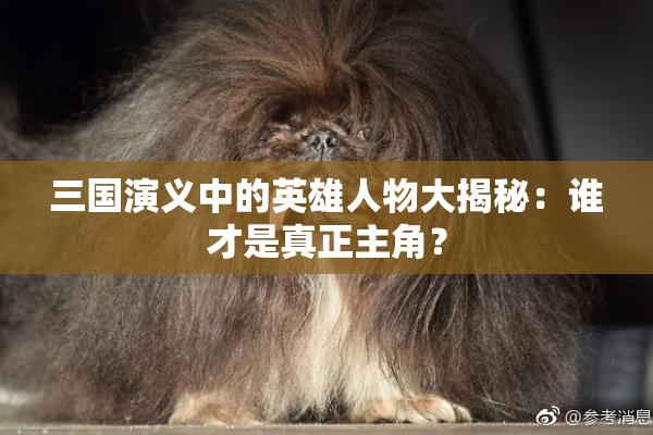三国演义中的英雄人物大揭秘：谁才是真正主角？