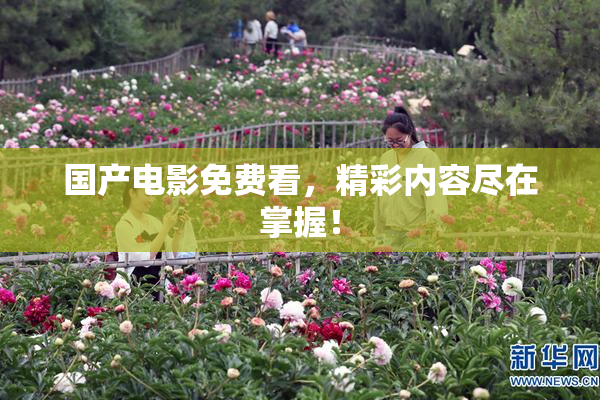 国产电影免费看，精彩内容尽在掌握！