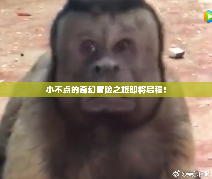 小不点的奇幻冒险之旅即将启程！